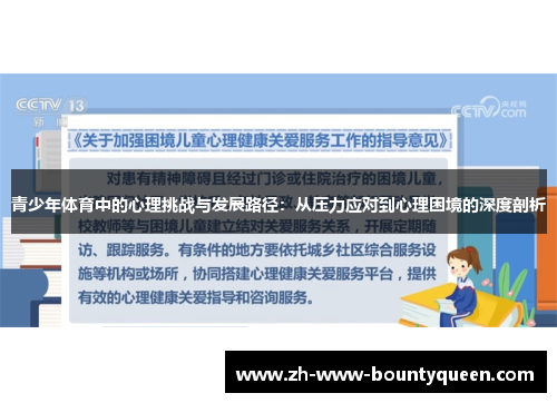 青少年体育中的心理挑战与发展路径：从压力应对到心理困境的深度剖析