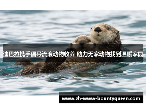 迪巴拉携手倡导流浪动物收养 助力无家动物找到温暖家园 迪巴拉携手倡导流浪动物收养 助力无家动物找到温暖家园