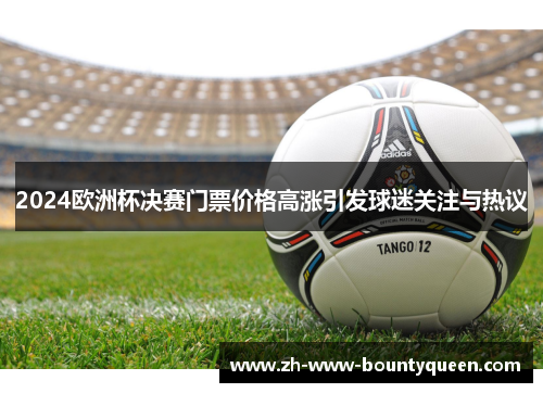 2024欧洲杯决赛门票价格高涨引发球迷关注与热议