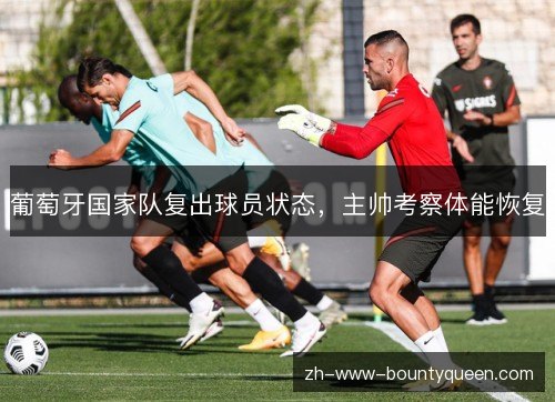 葡萄牙国家队复出球员状态，主帅考察体能恢复